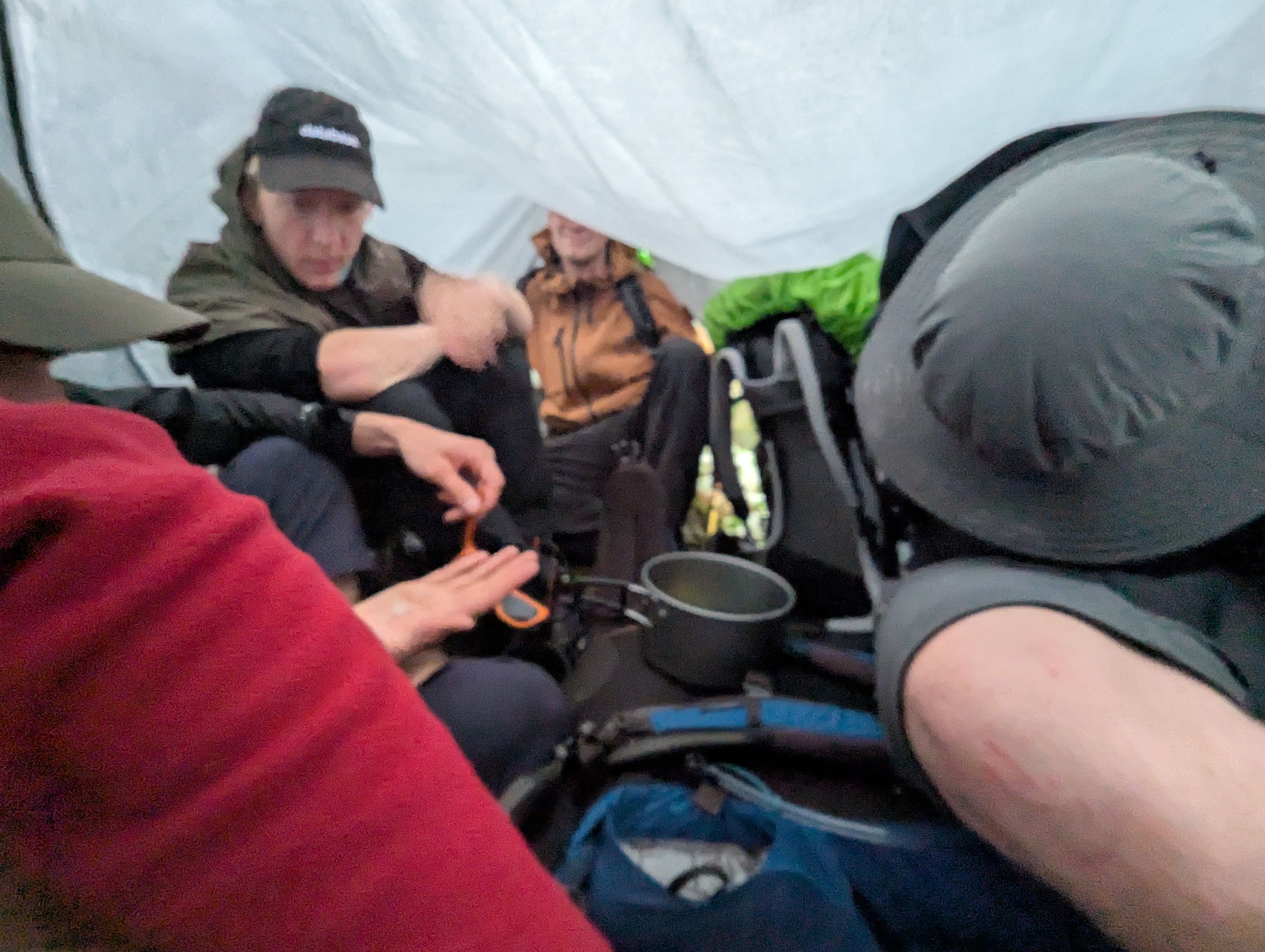 Surprisingly saved under the tarp after a thunderstorm