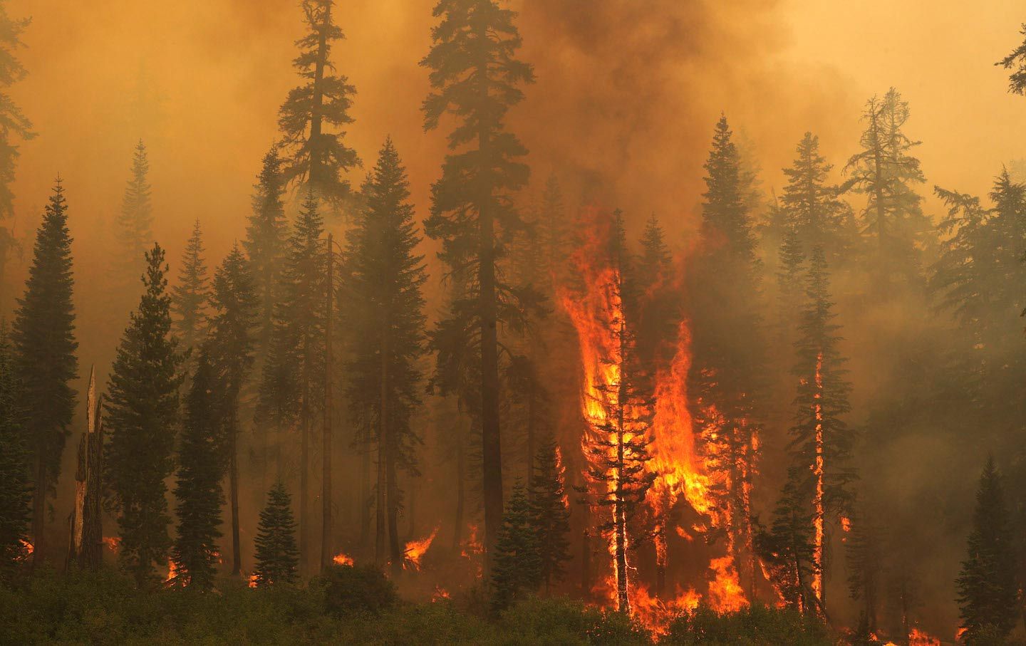 cover for We Are Witnessing the First Stages of Civilizationâs Collapse | The Nation