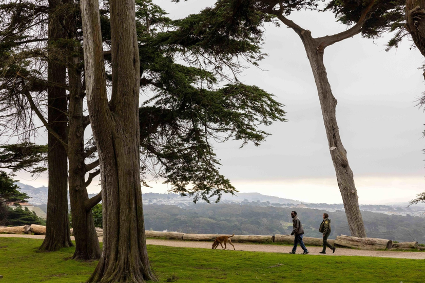 cover for San Francisco homelessness: Park ranger helps one person at a time
