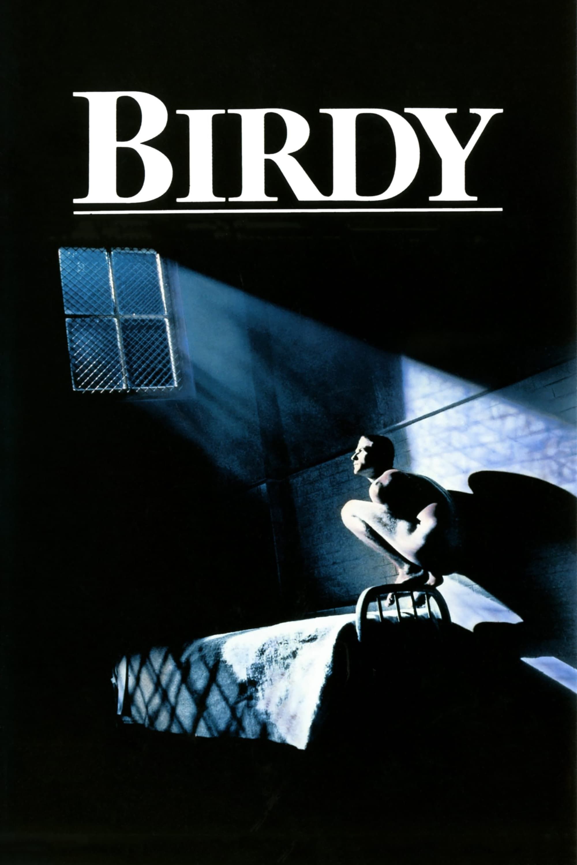 cover for Birdy