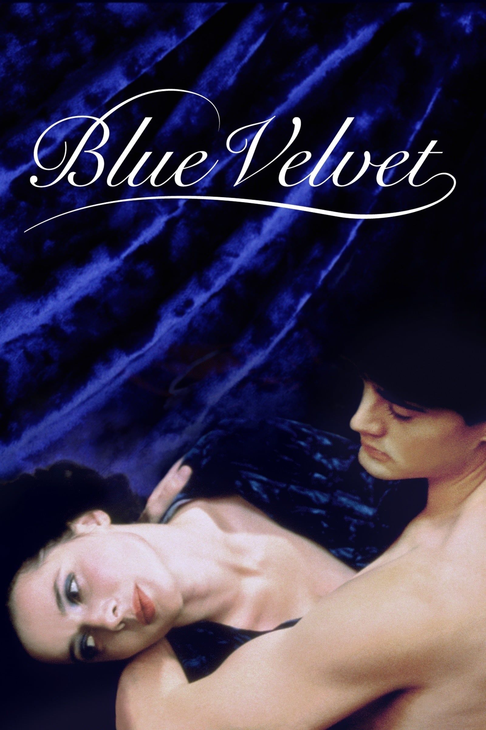 cover for Blue Velvet