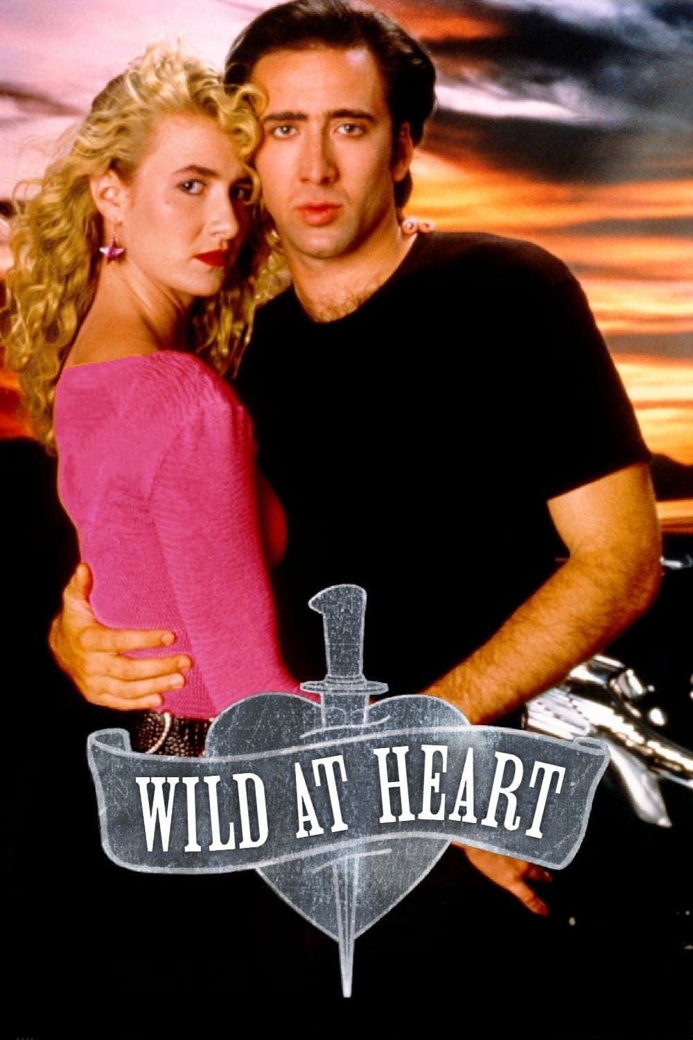 cover for Wild at Heart