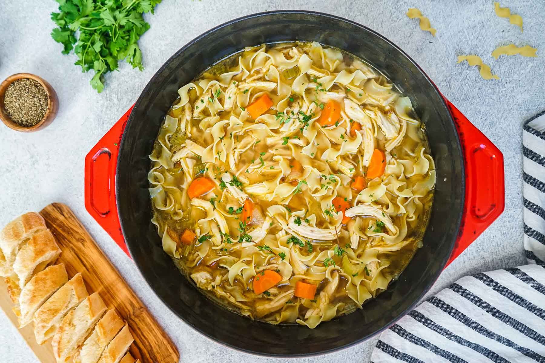 cover for Roto-chick Chicken Noodle Soup